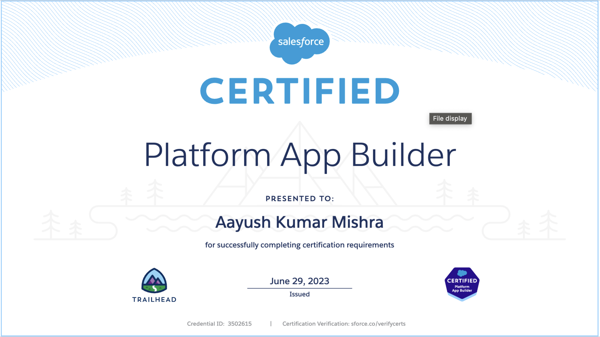 Saleforce Platform App Builder